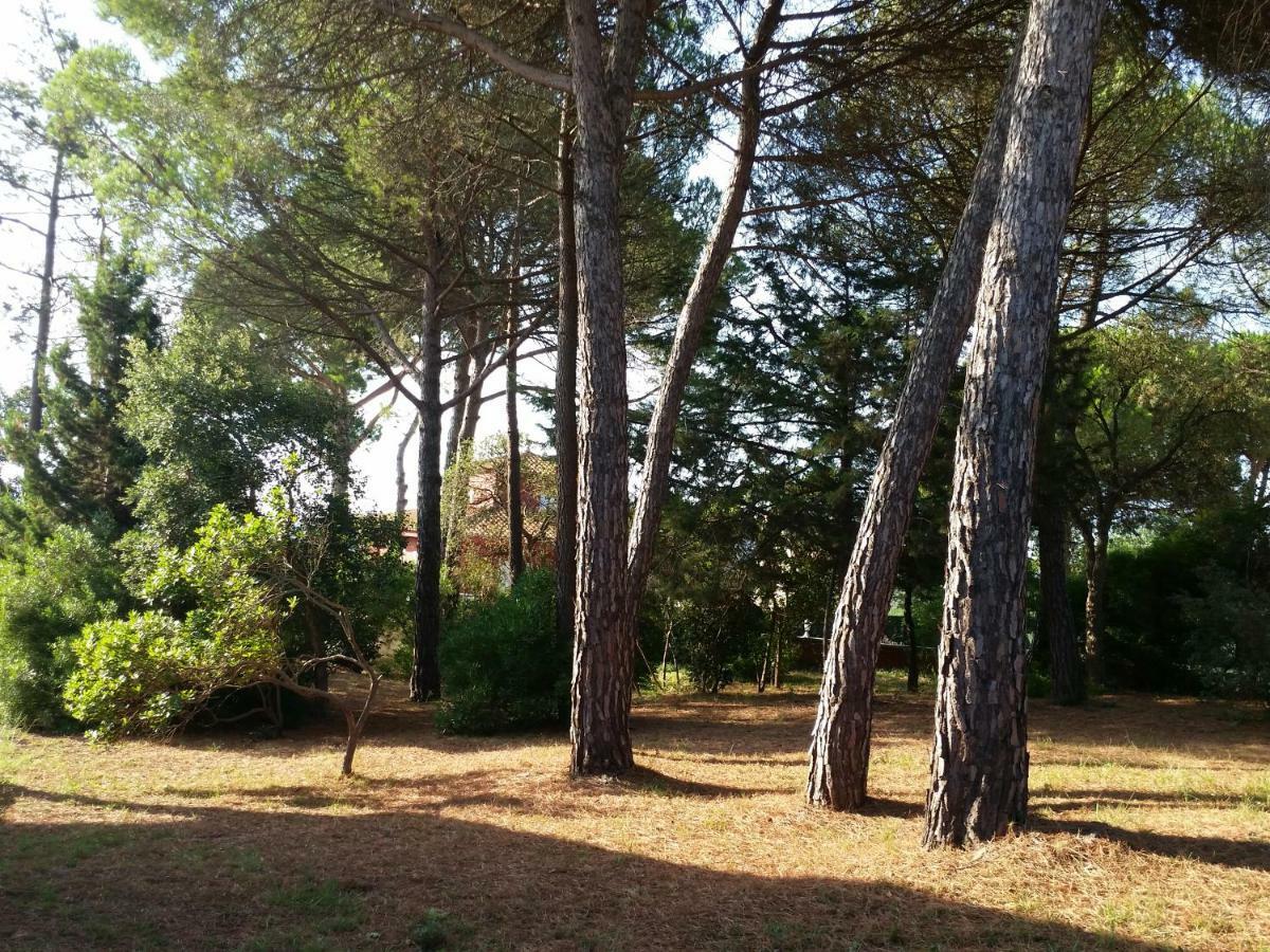Villa Fabiola Fogas de Tordera Экстерьер фото